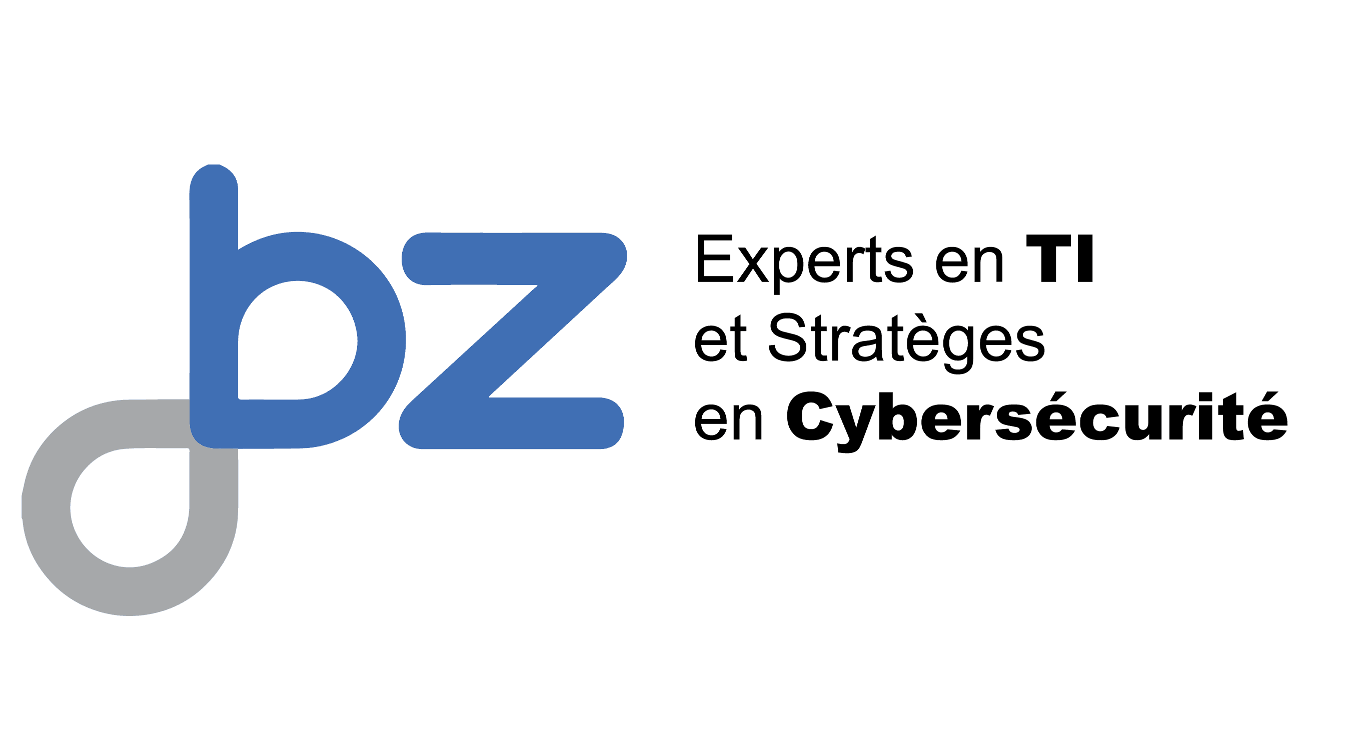 BZ — Experts en TI et stratégies en cybersécurité